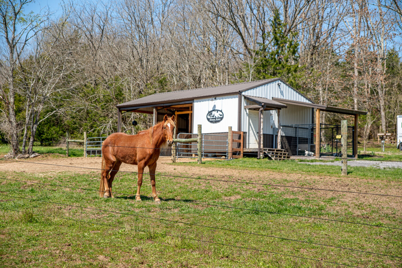 Watertown Tennessee Ranch and Barn FSBO